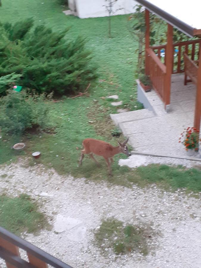 Apartmán Apartma Ana Ida Srpenica