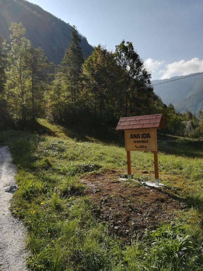 Apartmán Apartma Ana Ida