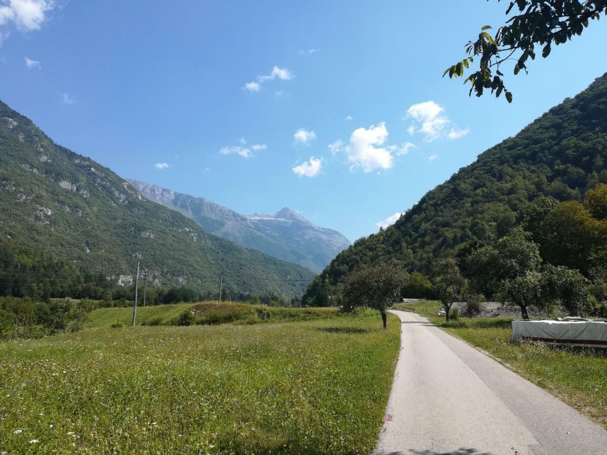 Apartmán Apartma Ana Ida Srpenica