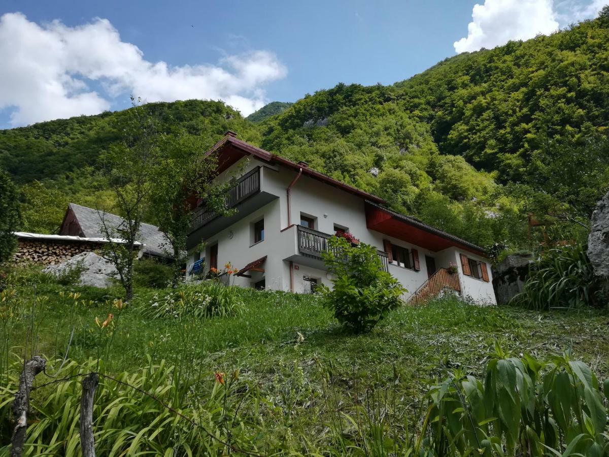 Apartma Ana Ida * Srpenica