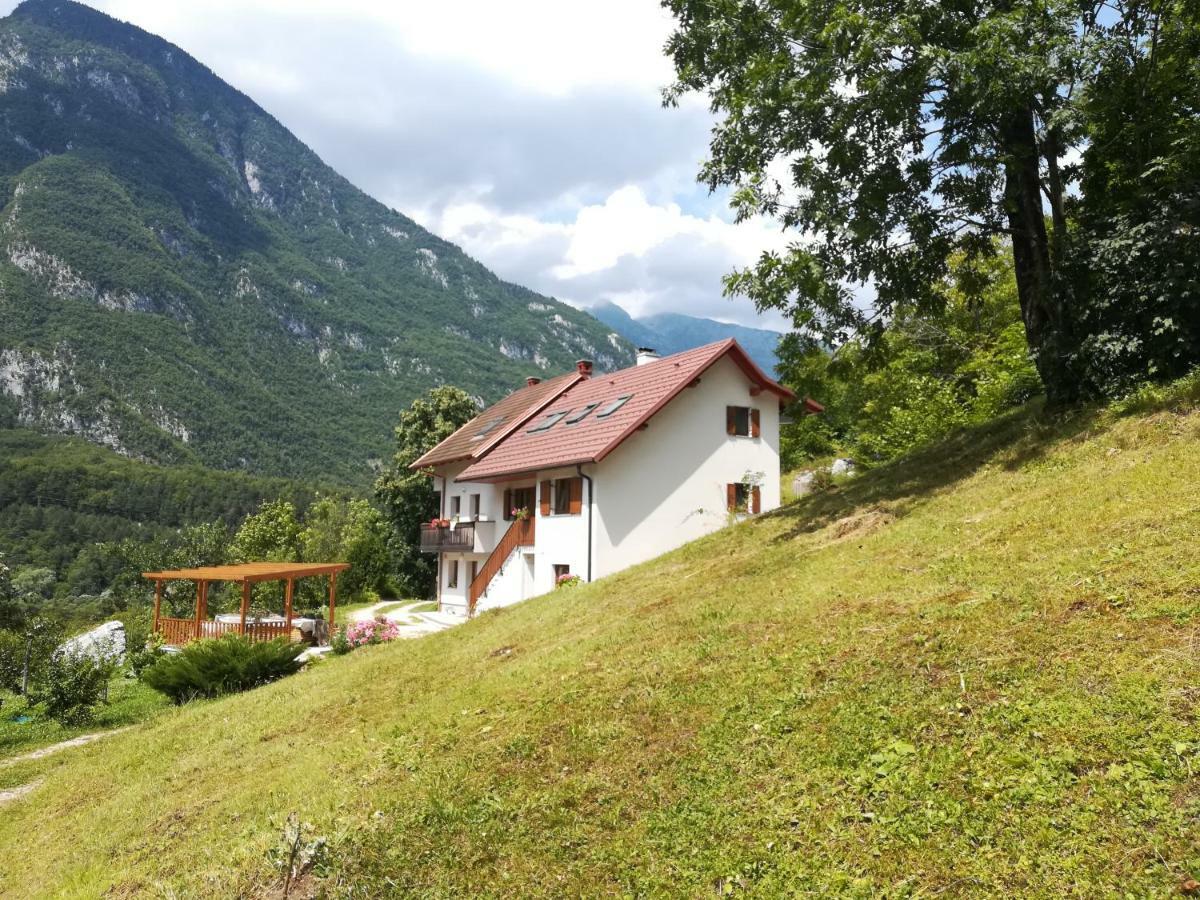 Apartma Ana Ida Srpenica